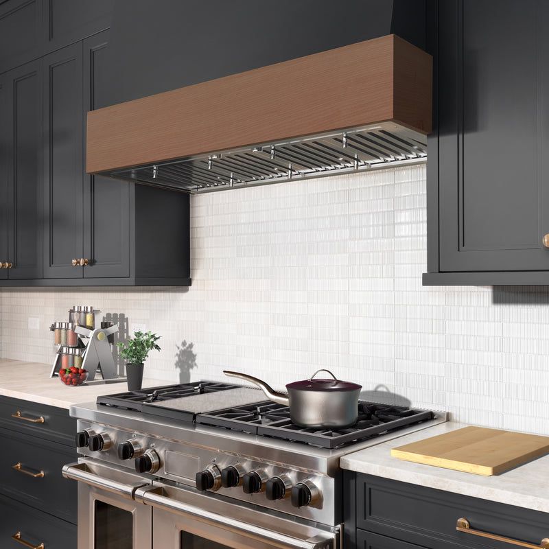 Inca Pro Plus 48" x 19" Range Hood Insert, Stainless Steel, 600 CFM
